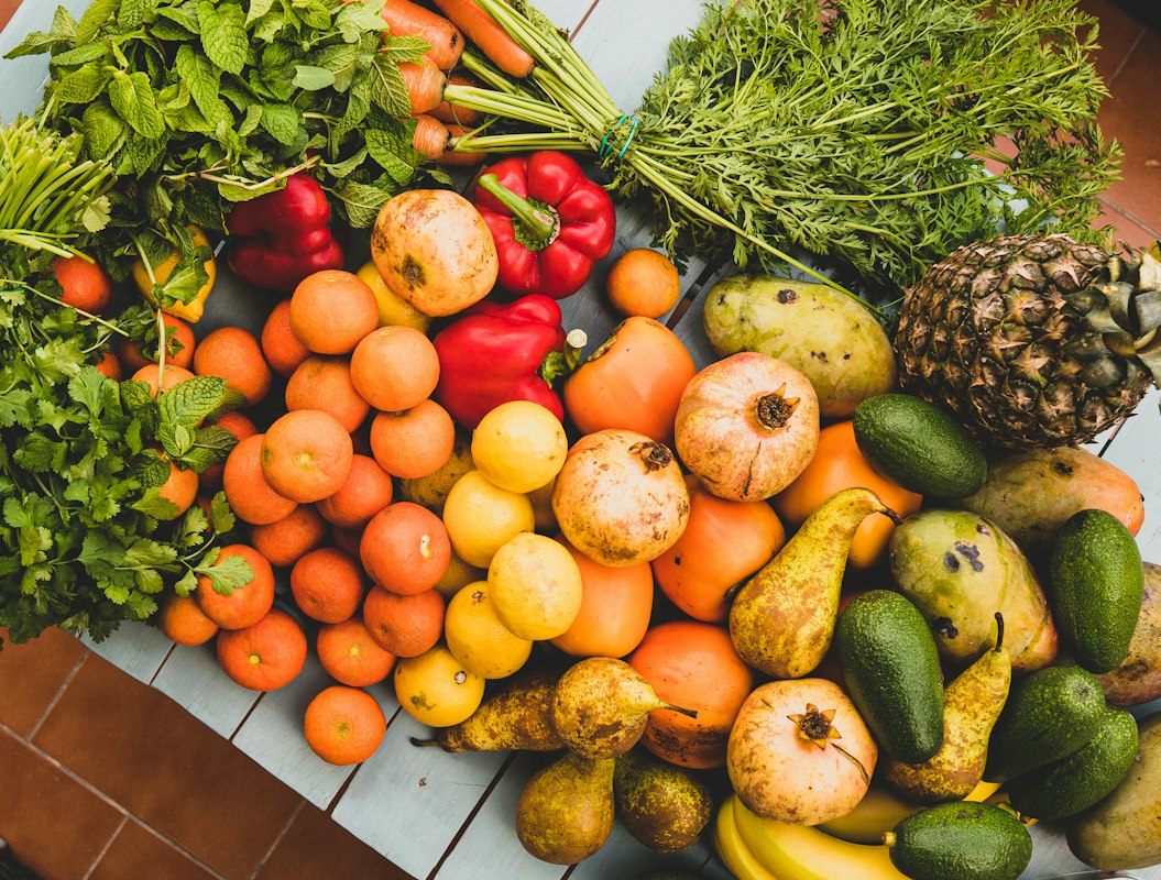 Conseils nutritionnels